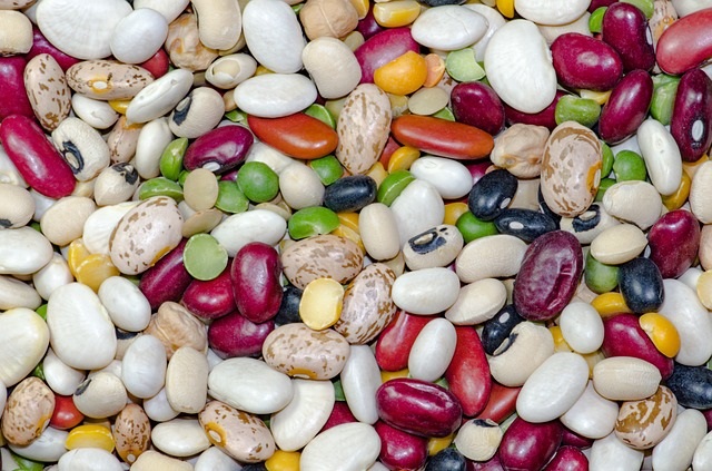 July 3rd is EAT BEANS DAY! Find out the Health Benefits of Beans!