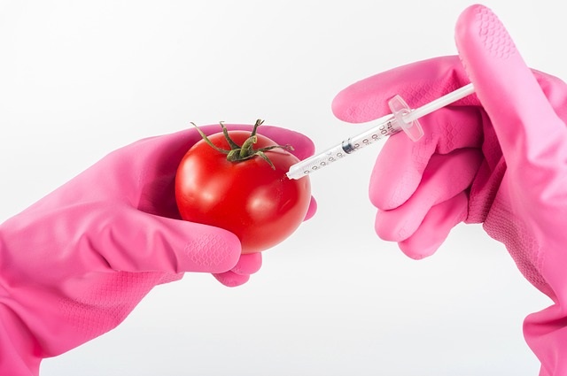 Most of you eat genetically modified food if you eat processed foods or non organic forms of some vegetables.