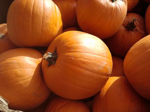 Pumpkin Recipes from the Holidays and Observances Website