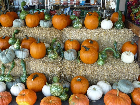 Pumpkin Facts and Tips from Holidays and Observances