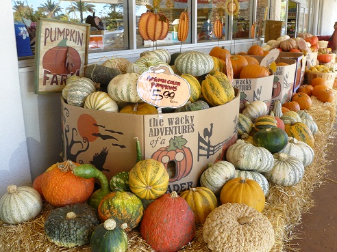 Pumpkins - Facts and Tips from Holidays and Observances