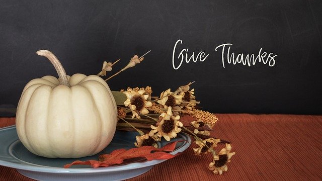Thanksgiving - Give Thanks! Gratitude is defined as the quality or feeling of being grateful or thankful. It is an important quality to develop in your life for many reasons.