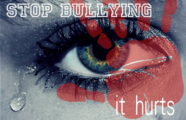 Stop Bullying....it Hurts!