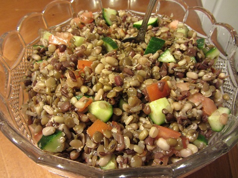 Healthy Sprouted Bean Salad Recipe from Healthy Diet Habits