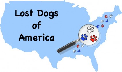 National Lost Dog Awareness Day - info. from Holidays and Observances