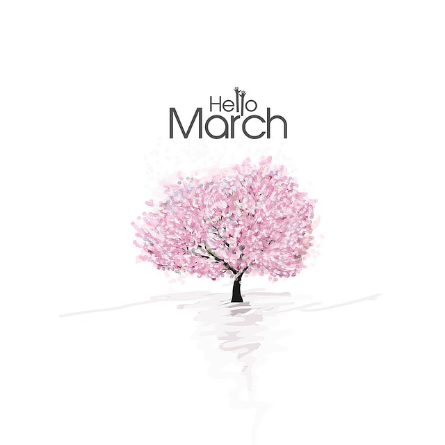 Holidays and Observances in the Month of March!
