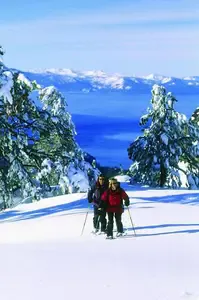 snowshoe