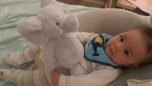 elielephant