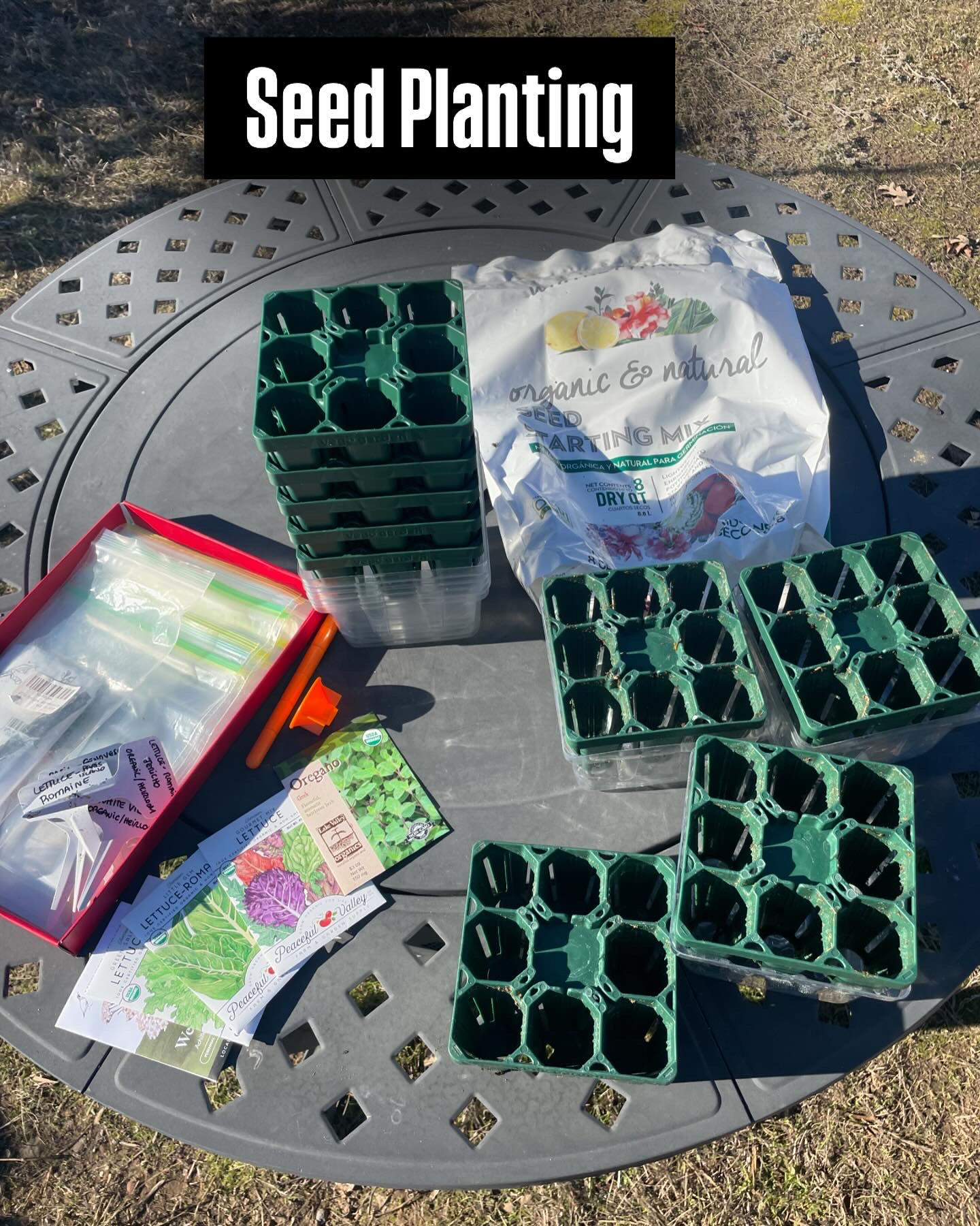 Spring Gardening - Planting Seeds is easy and less expensive!