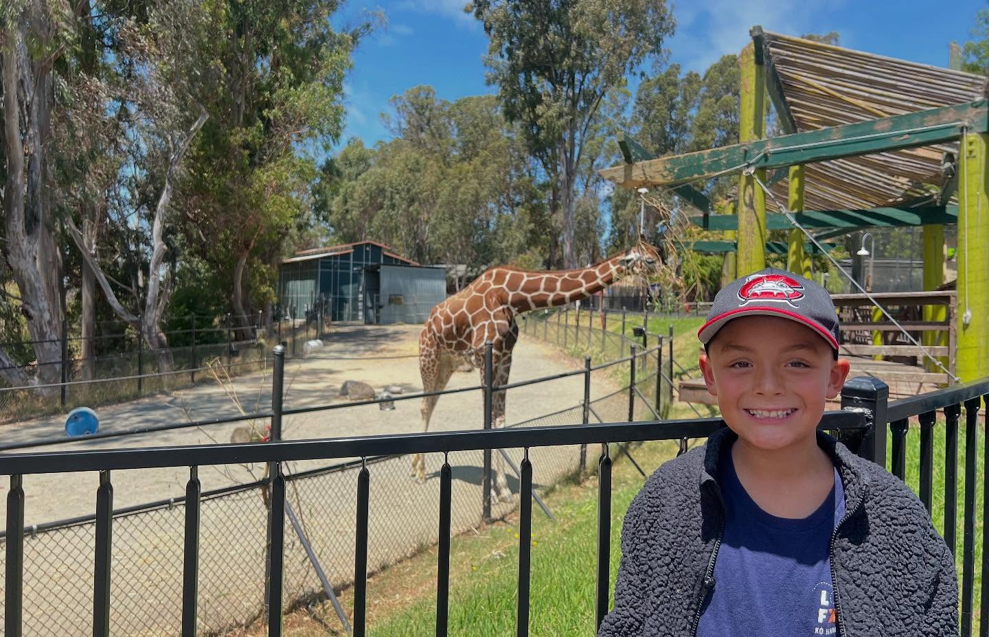 June Monthly Holidays | Holidays and Observances

June is Zoo and Aquarium Month