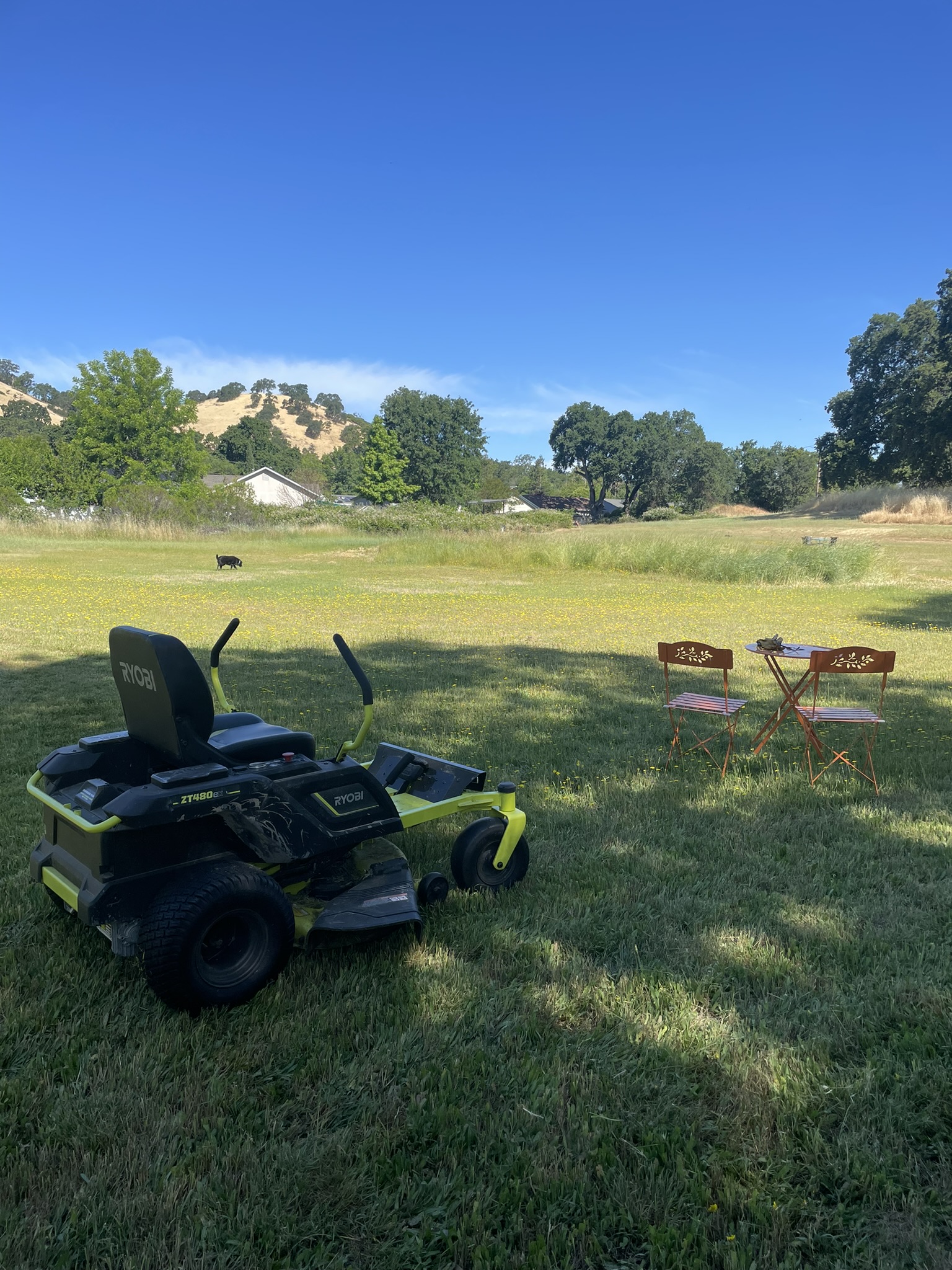 Summer Gardening Chores - Mowing!