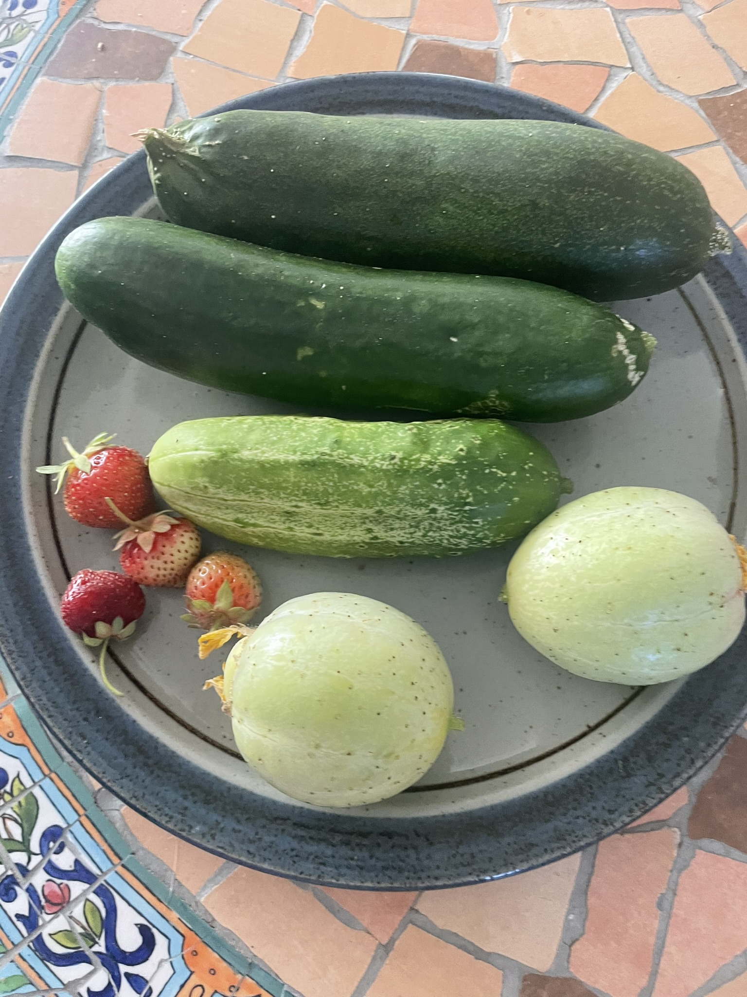 June Monthly Holidays (Detailed) | Holidays and Observances

June is Cucumber Month