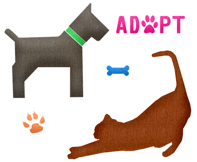 Adopt Don't Shop