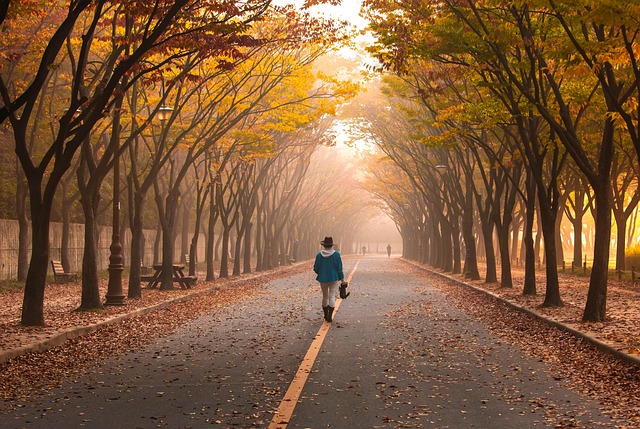 Walking in the Fall