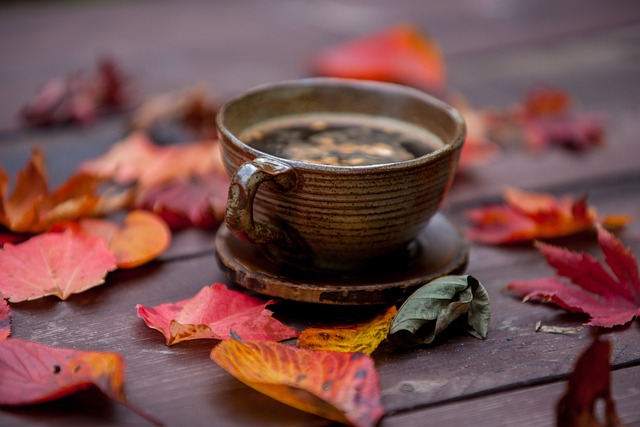 Tea is a great choice to help with Fall Weight Loss!