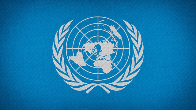 United National International Years | Holidays and Observances