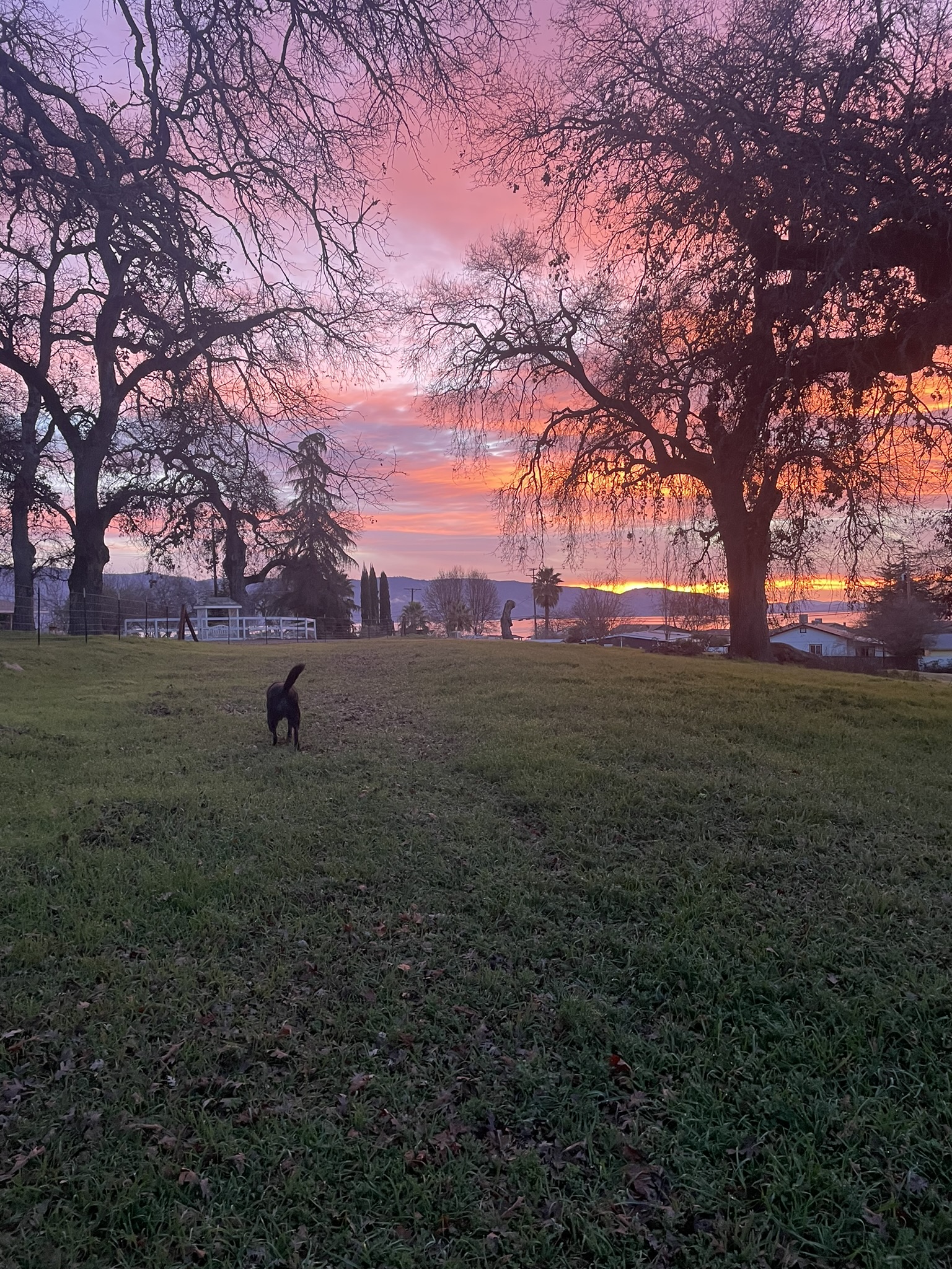 January 20 – Take a Walk Outdoors Day | Holidays and Observances