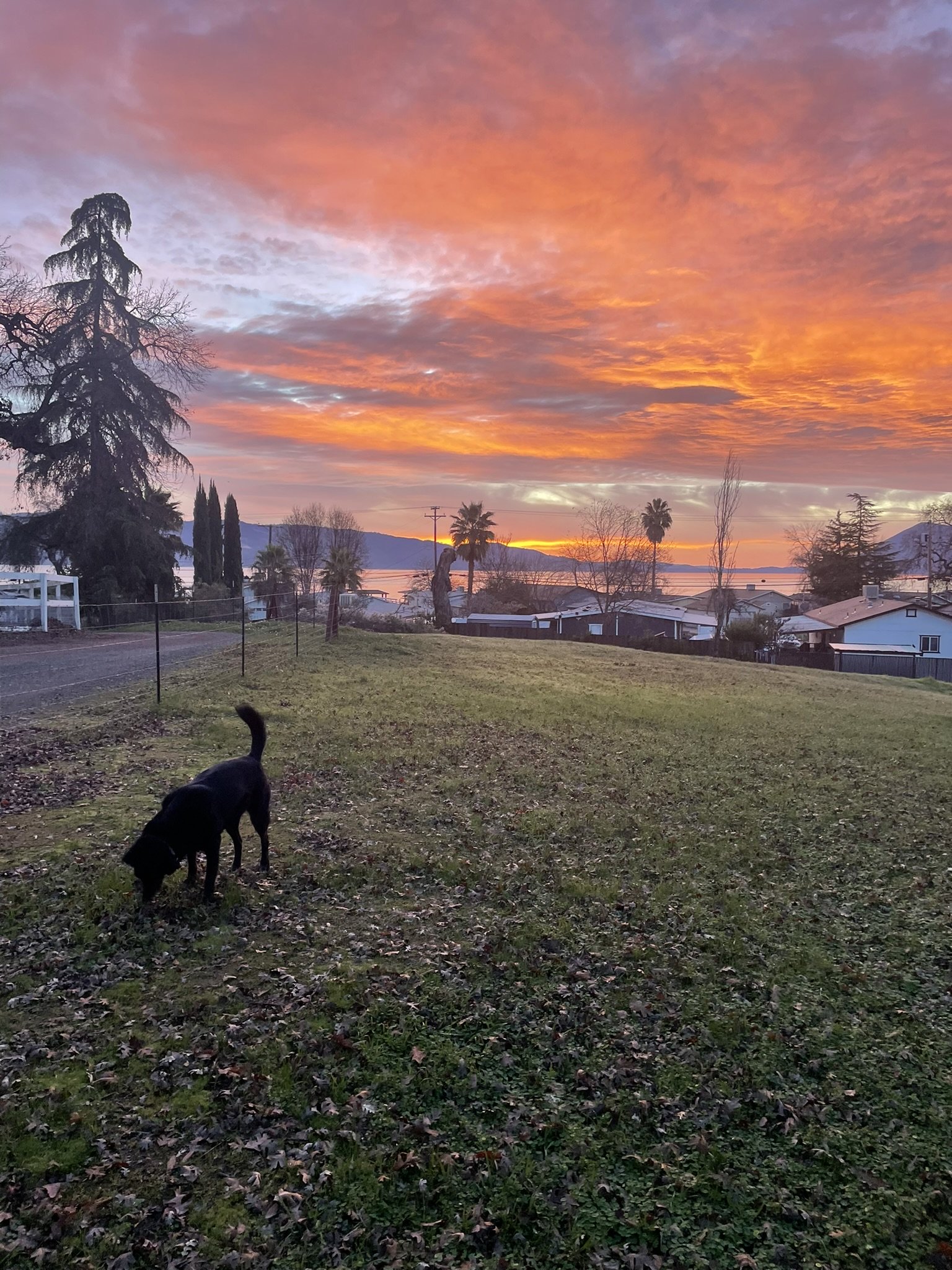 Storz Homestead in Lakeport, CA