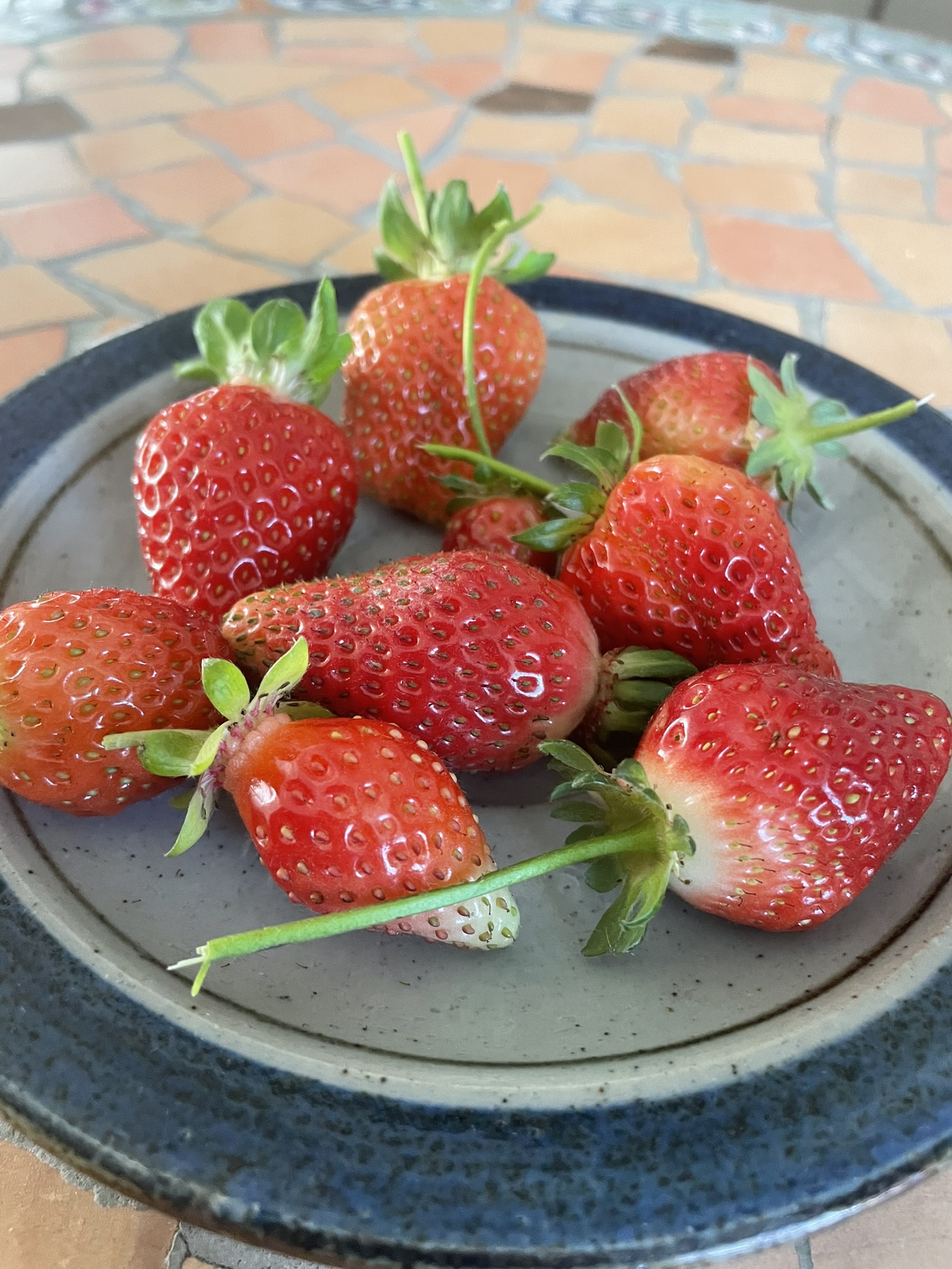 May Monthly Holidays | Holidays and Observances

May is National Strawberry Month