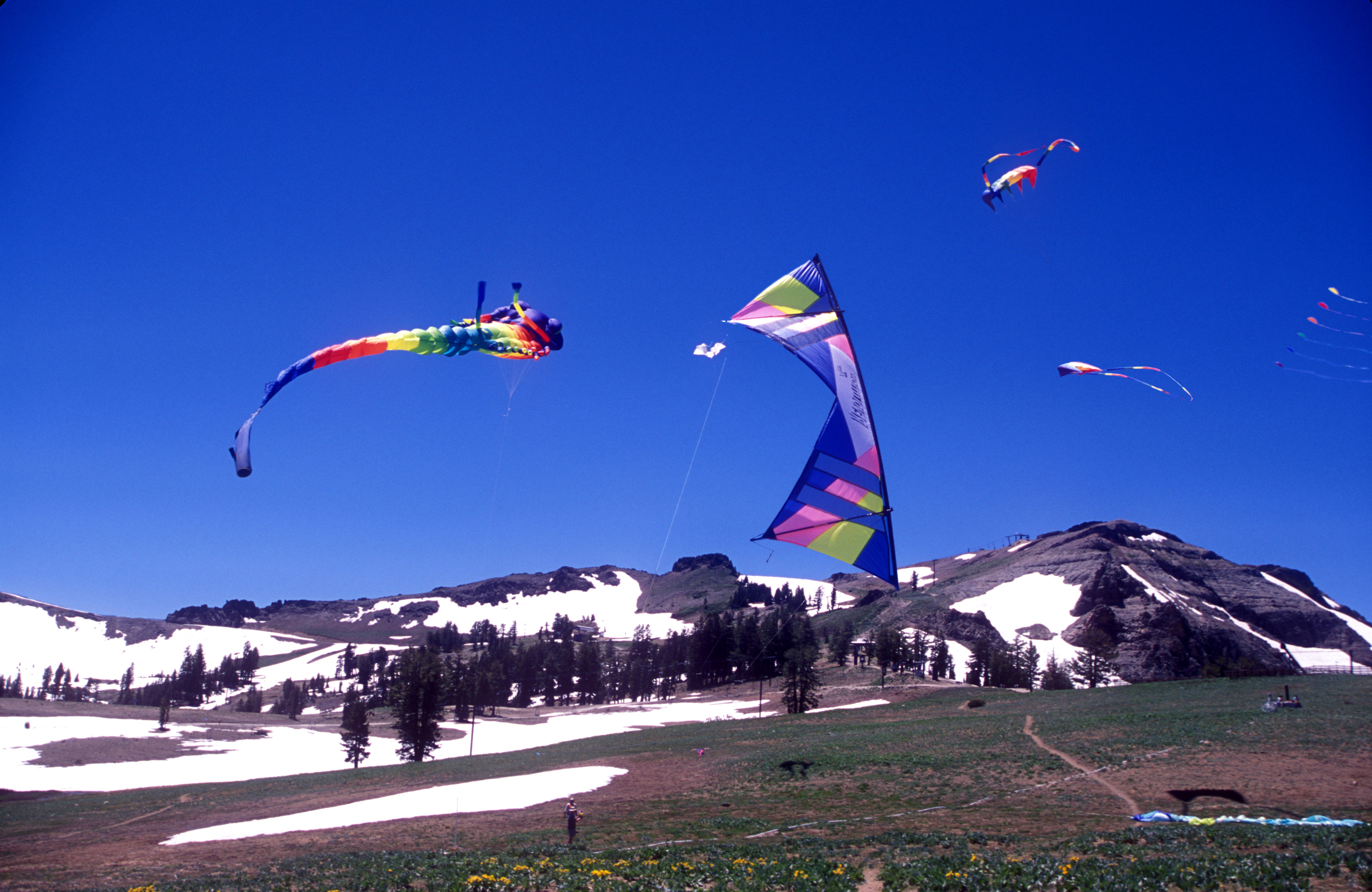Sport Holidays | Holidays and Observations

Soaring Kites photo used by permission from the Squaw Valley Media Dept.