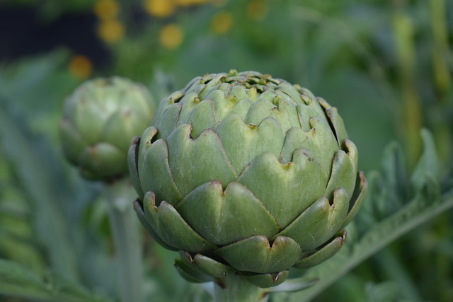 January Food Holidays | Holidays and Observances

January is Artichoke and Asparagus Month