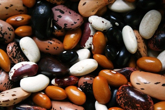 January is National Fiber Focus Month | Holidays and Observances