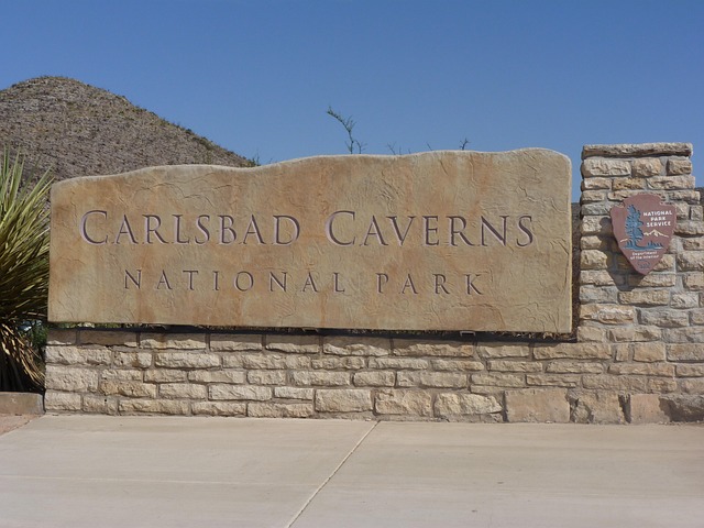 New Mexico State Holidays | Holidays and Observances

Pictured: Entry Sign for Carlsbad Caverns National Park
