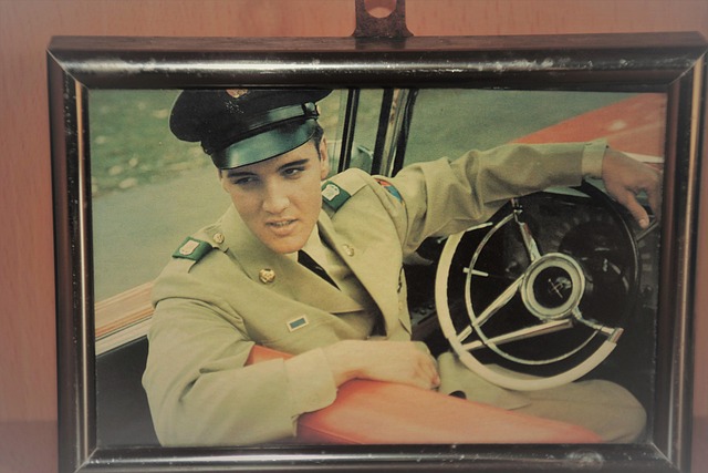 elvis