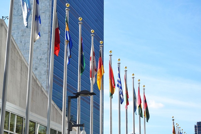 Flags at the United Nations Building in New York City