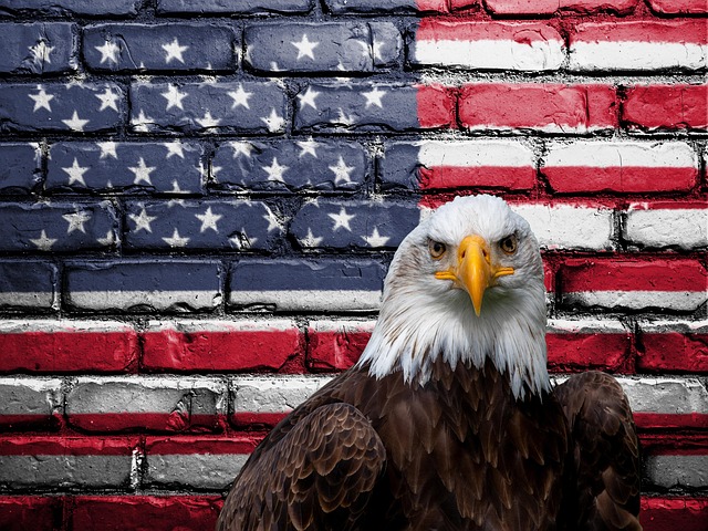 flag