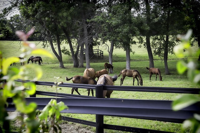 Kentucky State Holidays | Holidays and Observances
