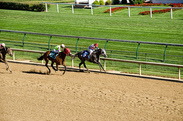 Kentucky State Holidays | Holidays and Observances
Kentucky is known for the Kentucky Derby and their horse farms.