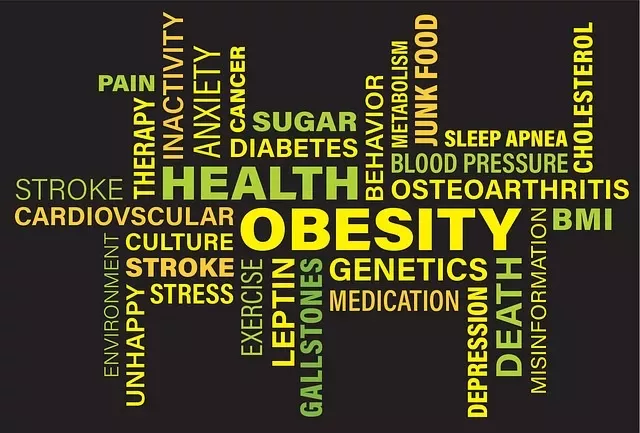 Adult Obesity: Understanding the Health Risks and Science-Backed Solutions | Holidays and Observances