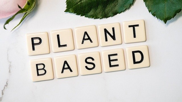 November is World Vegan Month | Holidays and Observances
