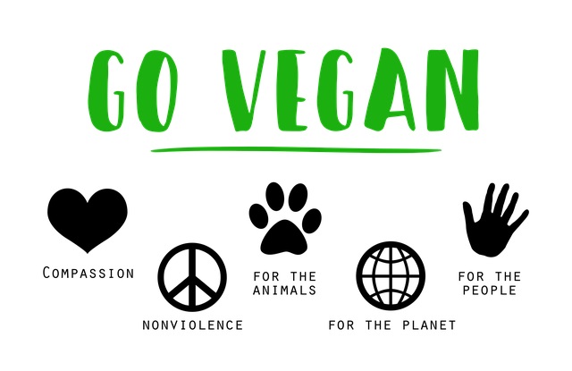 November 1st is World Vegan Day!