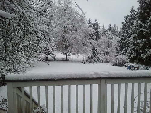 Life With Winter Foods - Winter Weather